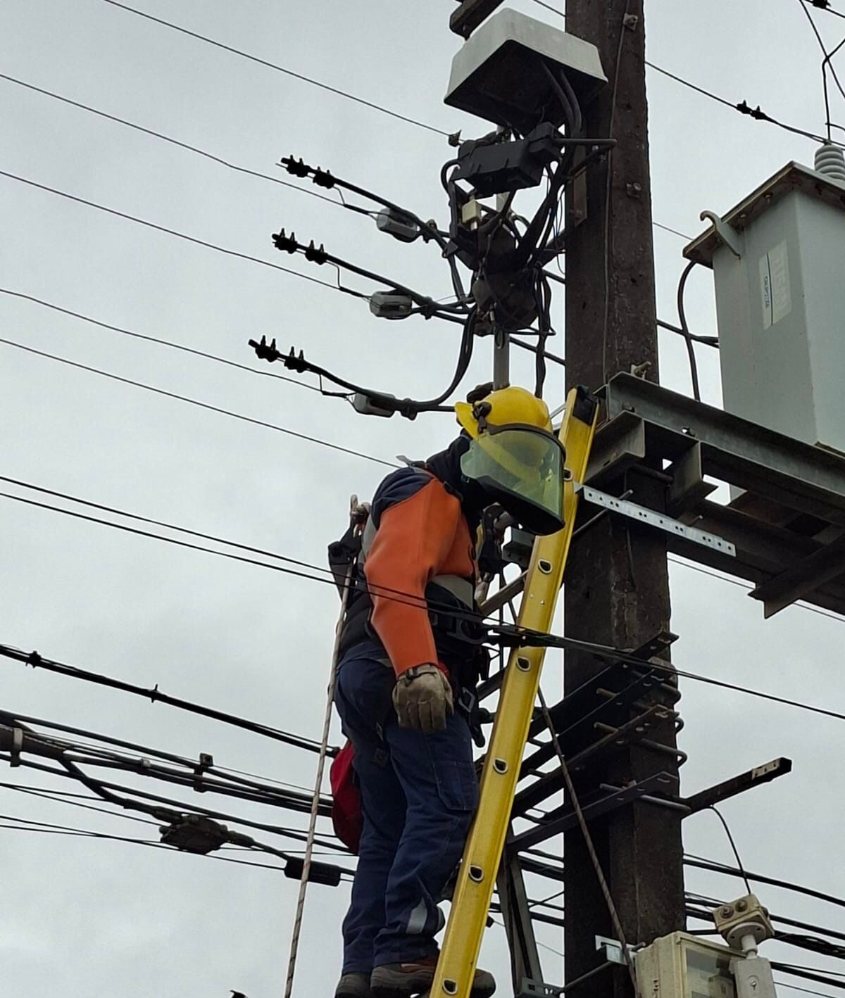 Técnico trabajando en una red de distribución eléctrica